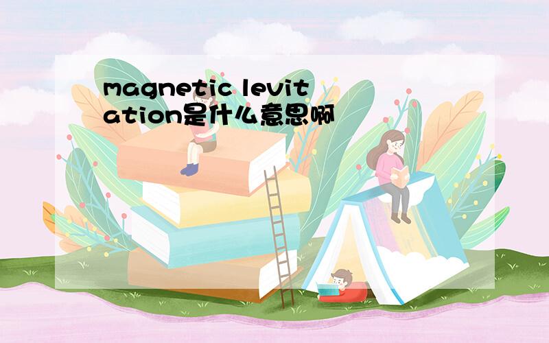 magnetic levitation是什么意思啊