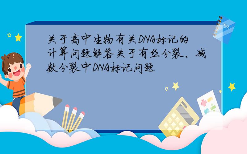 关于高中生物有关DNA标记的计算问题解答关于有丝分裂、减数分裂中DNA标记问题
