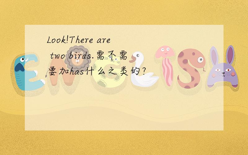 Look!There are two birds.需不需要加has什么之类的?