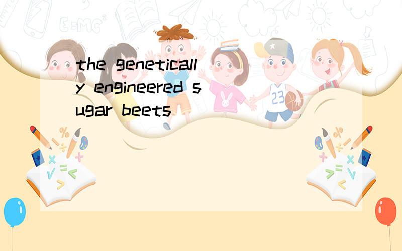 the genetically engineered sugar beets