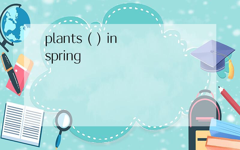 plants ( ) in spring