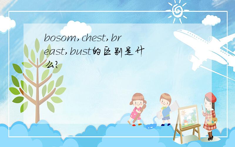 bosom,chest,breast,bust的区别是什么?