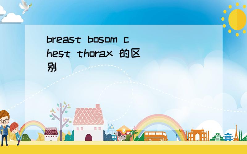 breast bosom chest thorax 的区别
