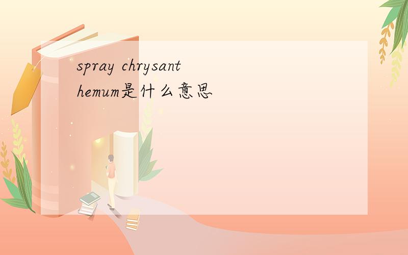 spray chrysanthemum是什么意思