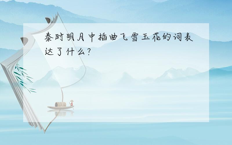 秦时明月中插曲飞雪玉花的词表达了什么?