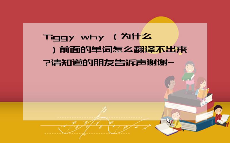 Tiggy why （为什么 ）前面的单词怎么翻译不出来?请知道的朋友告诉声谢谢~