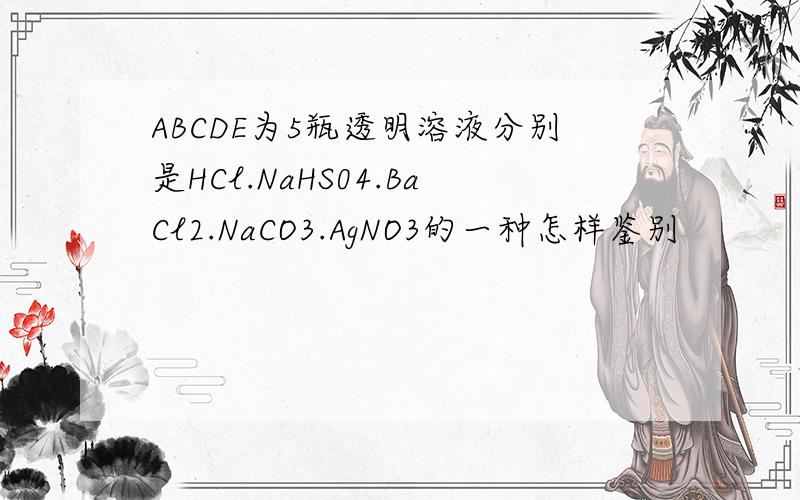 ABCDE为5瓶透明溶液分别是HCl.NaHS04.BaCl2.NaCO3.AgNO3的一种怎样鉴别