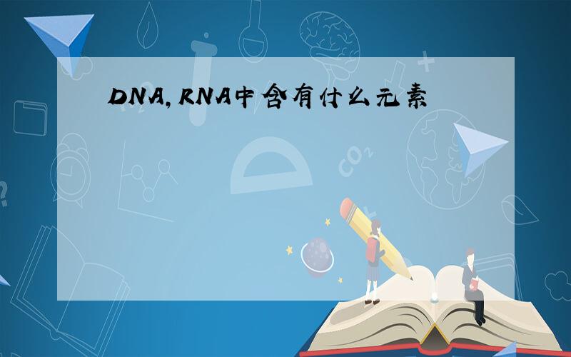 DNA,RNA中含有什么元素