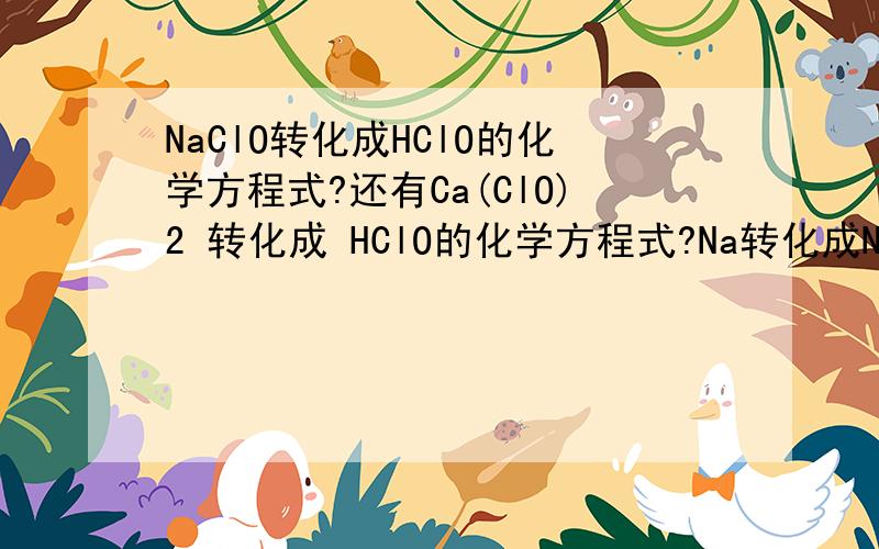 NaClO转化成HClO的化学方程式?还有Ca(ClO)2 转化成 HClO的化学方程式?Na转化成NaOH Na转化成Cu(OH)2 Na2O2转化成NaCl Na2O2转化成Cu(OH)2 NaHCO3转化成CaCO3 CO2转化成C的化学方程式?Si转化成SiO2 Na2O转化成Na2SO3