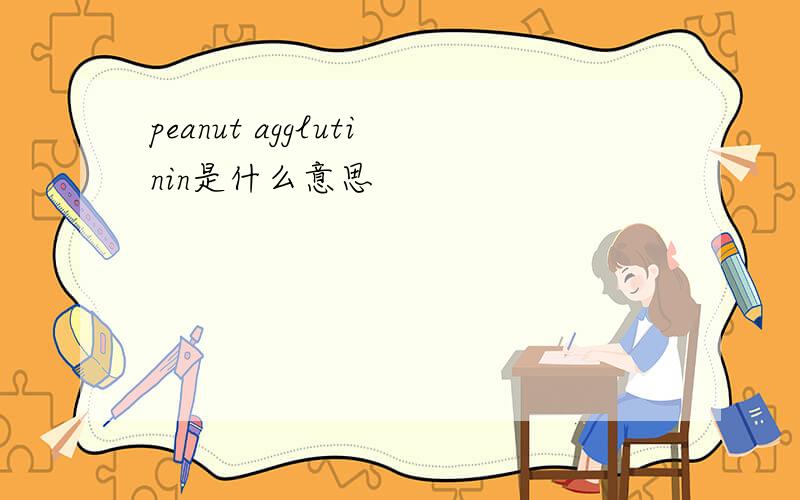 peanut agglutinin是什么意思