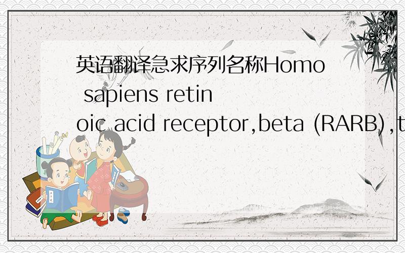 英语翻译急求序列名称Homo sapiens retinoic acid receptor,beta (RARB),transcript variant 1的中文翻译要生物学的专业翻译！