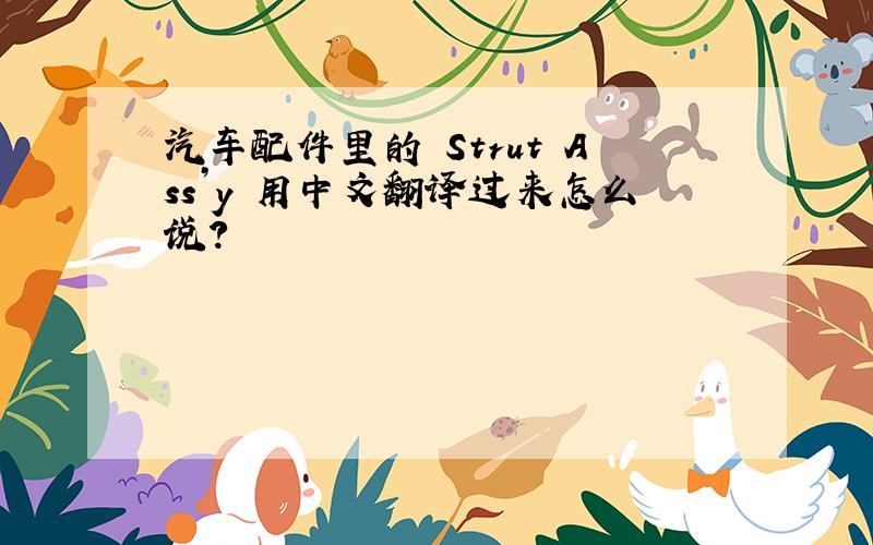 汽车配件里的 Strut Ass’y 用中文翻译过来怎么说?