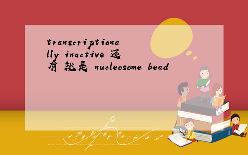 transcriptionally inactive 还有 就是 nucleosome bead