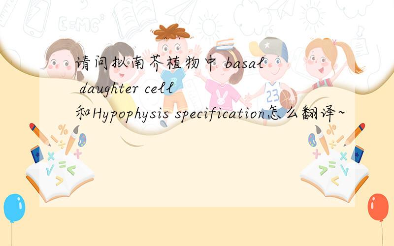 请问拟南芥植物中 basal daughter cell和Hypophysis specification怎么翻译~