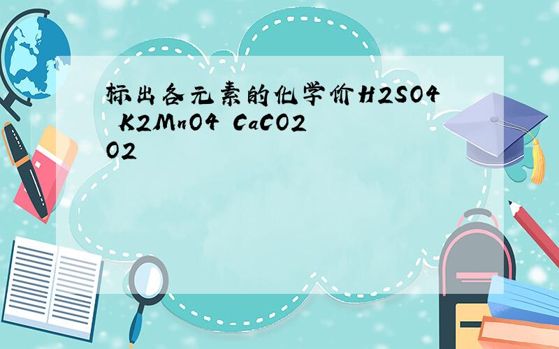 标出各元素的化学价H2SO4 K2MnO4 CaCO2 O2