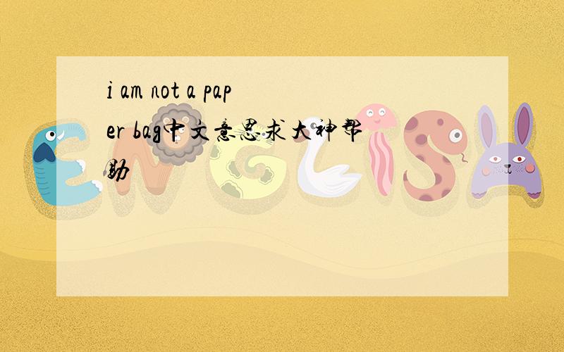 i am not a paper bag中文意思求大神帮助