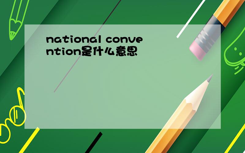 national convention是什么意思