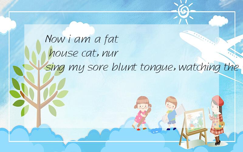 Now i am a fat house cat,nursing my sore blunt tongue,watching the warm poison rats.是哪首歌中的?是个男歌手,同求歌手名.