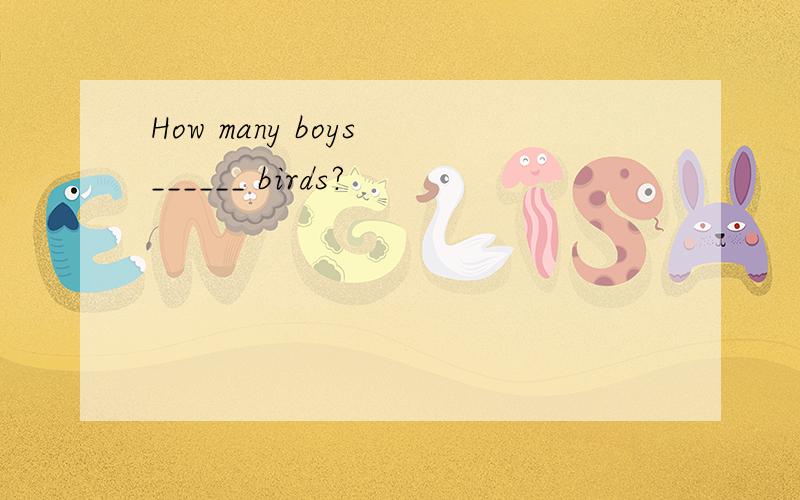 How many boys ______ birds?