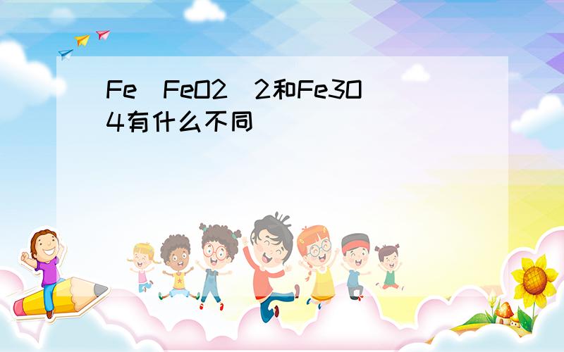 Fe(FeO2)2和Fe3O4有什么不同