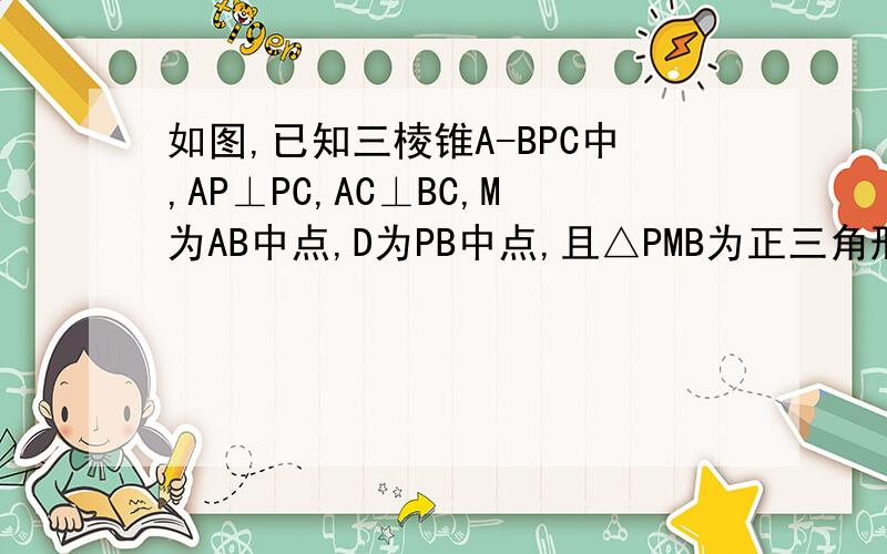 如图,已知三棱锥A-BPC中,AP⊥PC,AC⊥BC,M为AB中点,D为PB中点,且△PMB为正三角形.(1)求证:DM//平面APC (2)求证:平面ABC⊥平面APC