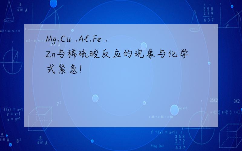 Mg.Cu .Al.Fe .Zn与稀硫酸反应的现象与化学式紧急!