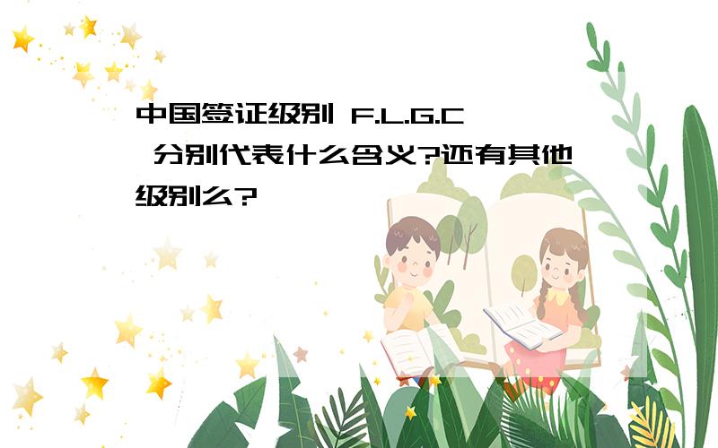 中国签证级别 F.L.G.C 分别代表什么含义?还有其他级别么?