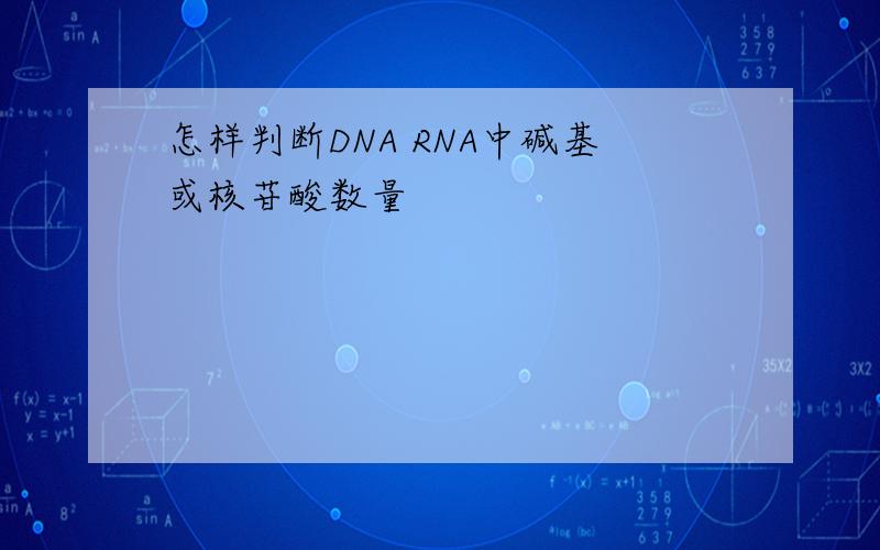 怎样判断DNA RNA中碱基或核苷酸数量