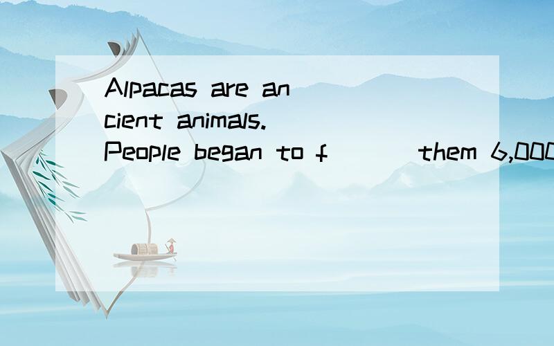 Alpacas are ancient animals.People began to f___ them 6,000 years ago.