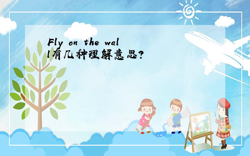 Fly on the wall有几种理解意思?