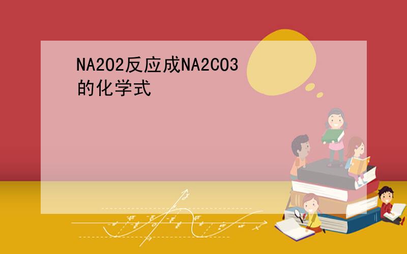 NA2O2反应成NA2CO3的化学式
