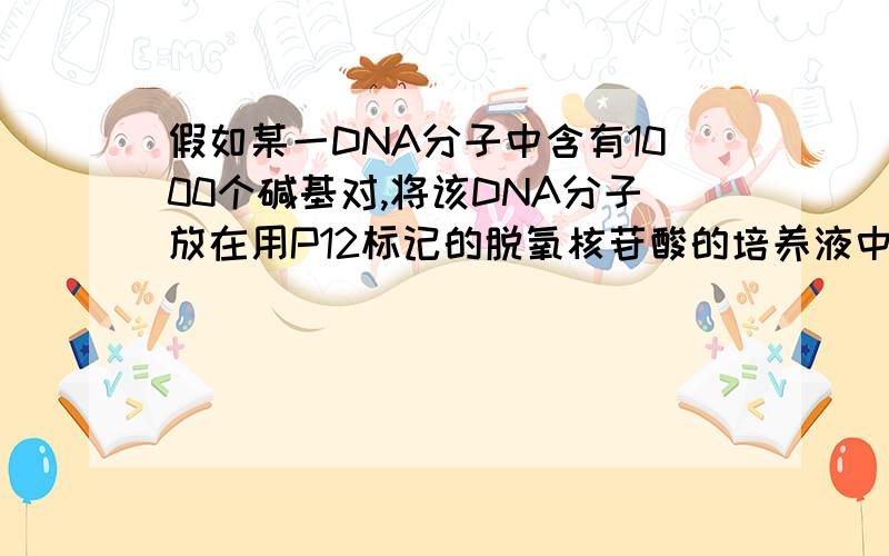 假如某一DNA分子中含有1000个碱基对,将该DNA分子放在用P12标记的脱氧核苷酸的培养液中培养让其复制 次,则子代DNA分子的平均分子量比原来增加多少