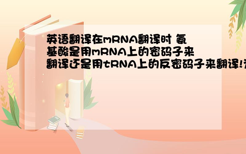 英语翻译在mRNA翻译时 氨基酸是用mRNA上的密码子来翻译还是用tRNA上的反密码子来翻译!为什么不是用TRNA的反密码子来对应表翻译