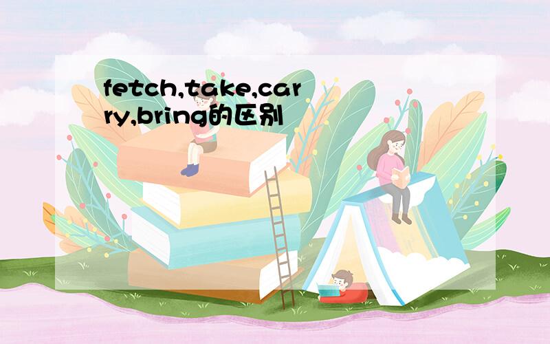 fetch,take,carry,bring的区别