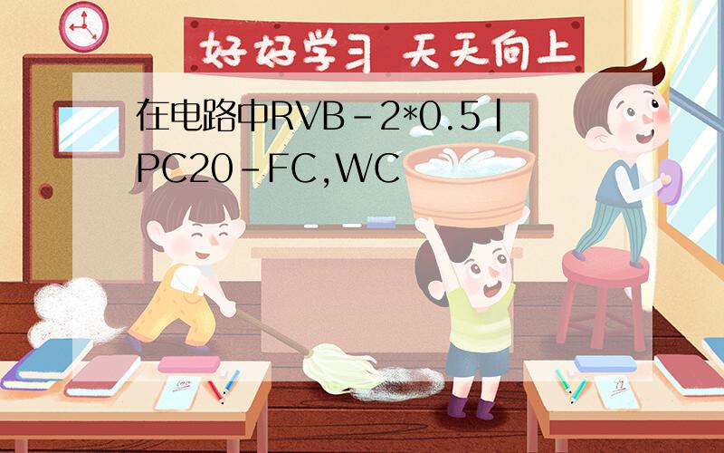 在电路中RVB-2*0.5|PC20-FC,WC