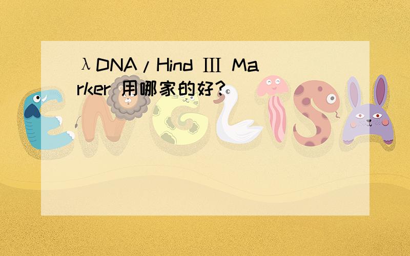λDNA/Hind Ⅲ Marker 用哪家的好?