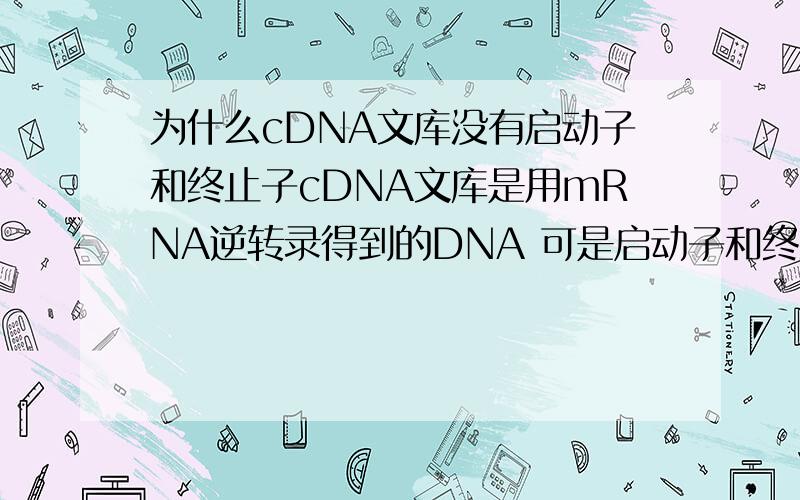 为什么cDNA文库没有启动子和终止子cDNA文库是用mRNA逆转录得到的DNA 可是启动子和终止子在编码区不是?应该编码进去了吧 如果那个超级高手可以完全让我搞懂