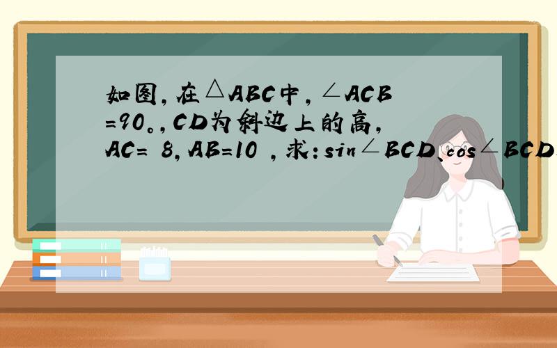 如图,在△ABC中,∠ACB=90°,CD为斜边上的高,AC= 8,AB=10 ,求：sin∠BCD、cos∠BCD和cot∠BCD的值．