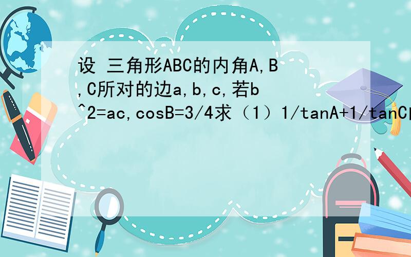 设 三角形ABC的内角A,B,C所对的边a,b,c,若b^2=ac,cosB=3/4求（1）1/tanA+1/tanC的值（2）设 向量BA×向量BC=3/2,求a+c的值
