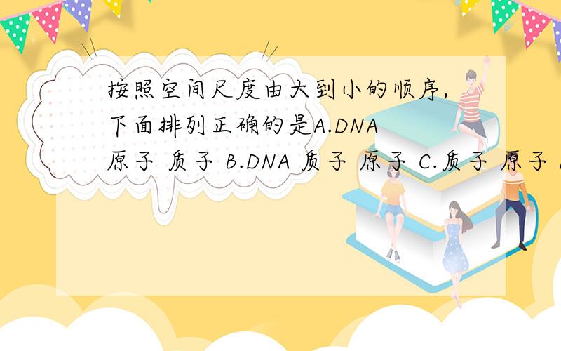 按照空间尺度由大到小的顺序,下面排列正确的是A.DNA 原子 质子 B.DNA 质子 原子 C.质子 原子 DNA D.质子 DNA 原子请问选哪一个