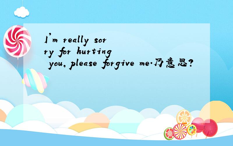 I'm really sorry for hurting you,please forgive me.乃意思?