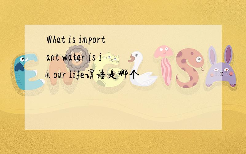 What is important water is in our life谓语是哪个