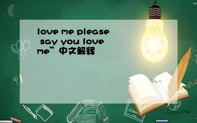 love me please say you love me”中文解释