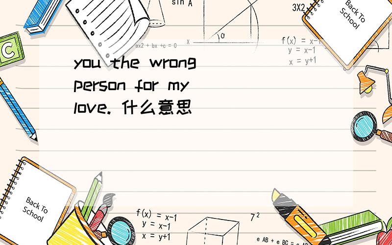 you the wrong person for my love. 什么意思