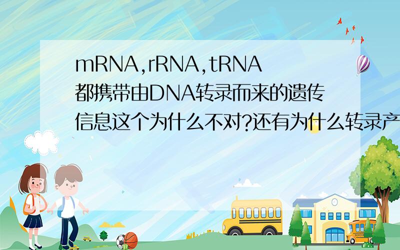 mRNA,rRNA,tRNA都携带由DNA转录而来的遗传信息这个为什么不对?还有为什么转录产物是三种RNA.