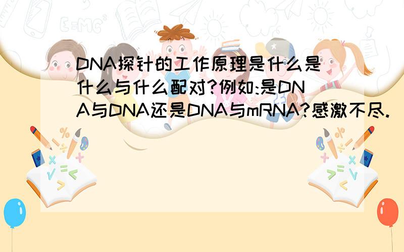 DNA探针的工作原理是什么是什么与什么配对?例如:是DNA与DNA还是DNA与mRNA?感激不尽.