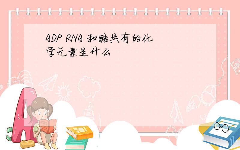 ADP RNA 和酶共有的化学元素是什么