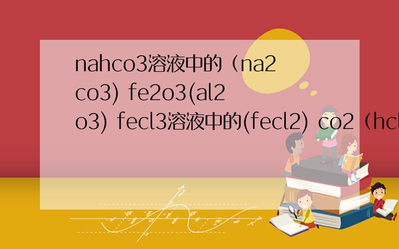 nahco3溶液中的（na2co3) fe2o3(al2o3) fecl3溶液中的(fecl2) co2（hcl）除去括号内的杂质应添加什么试剂?离子方程式呢?