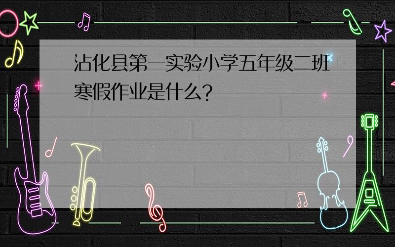 沾化县第一实验小学五年级二班寒假作业是什么?