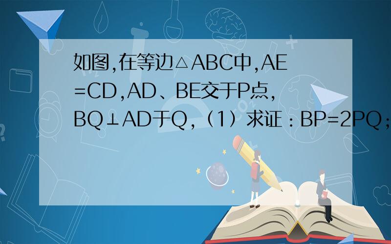 如图,在等边△ABC中,AE=CD,AD、BE交于P点,BQ⊥AD于Q,（1）求证：BP=2PQ；（2）连PC,若BP⊥PC,求AP/PQ的